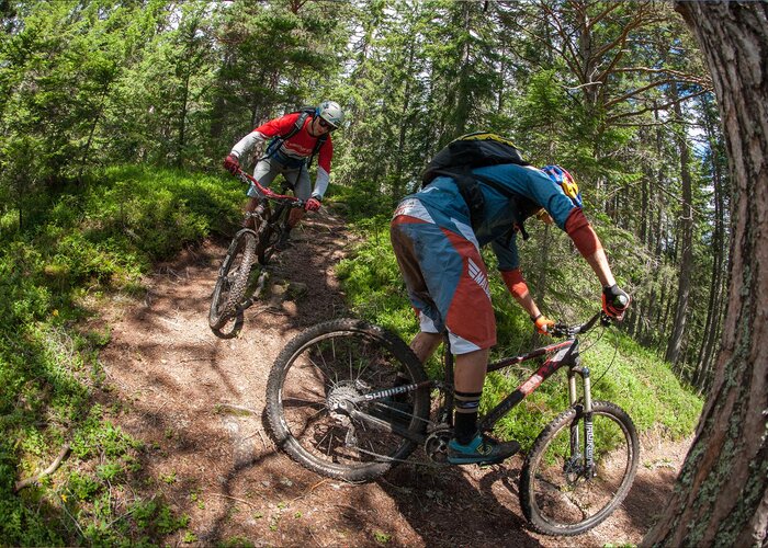 Mountainbike am Rosengarten Latemar