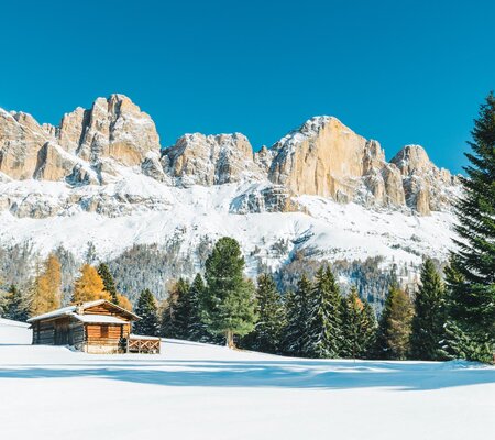 Winterurlaub Skifahren Dolomiten Südtirol